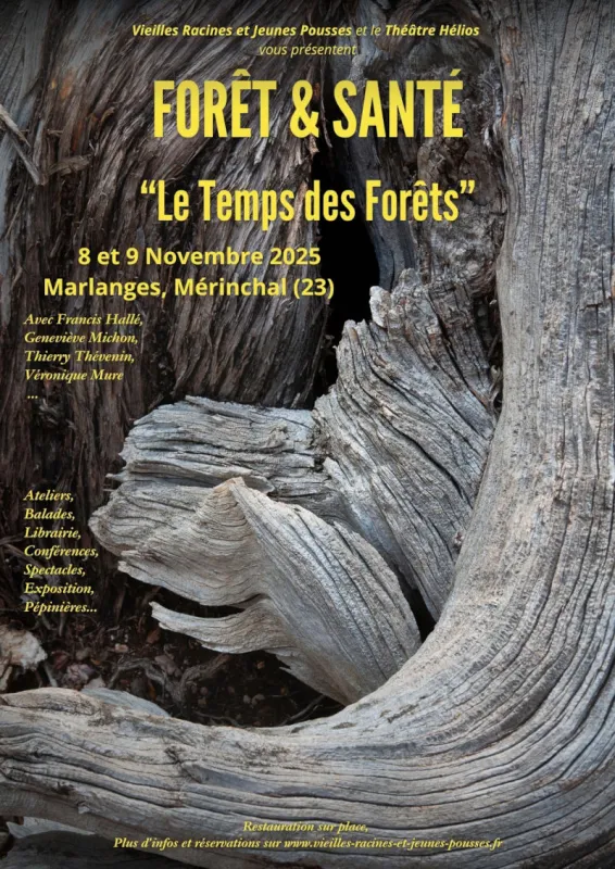 8 &amp; 9 novembre 2025, 4ème Forêt et Santé "Le temps des forêts", Mérinchal (23) Visuel
